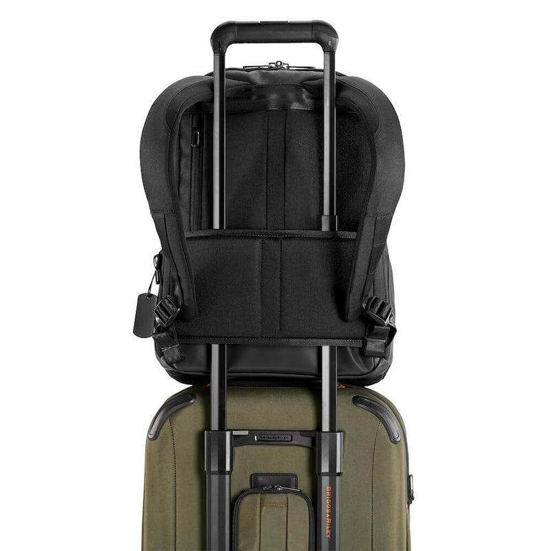 Briggs & Riley Delve Medium Backpack in Black slip-through panel
